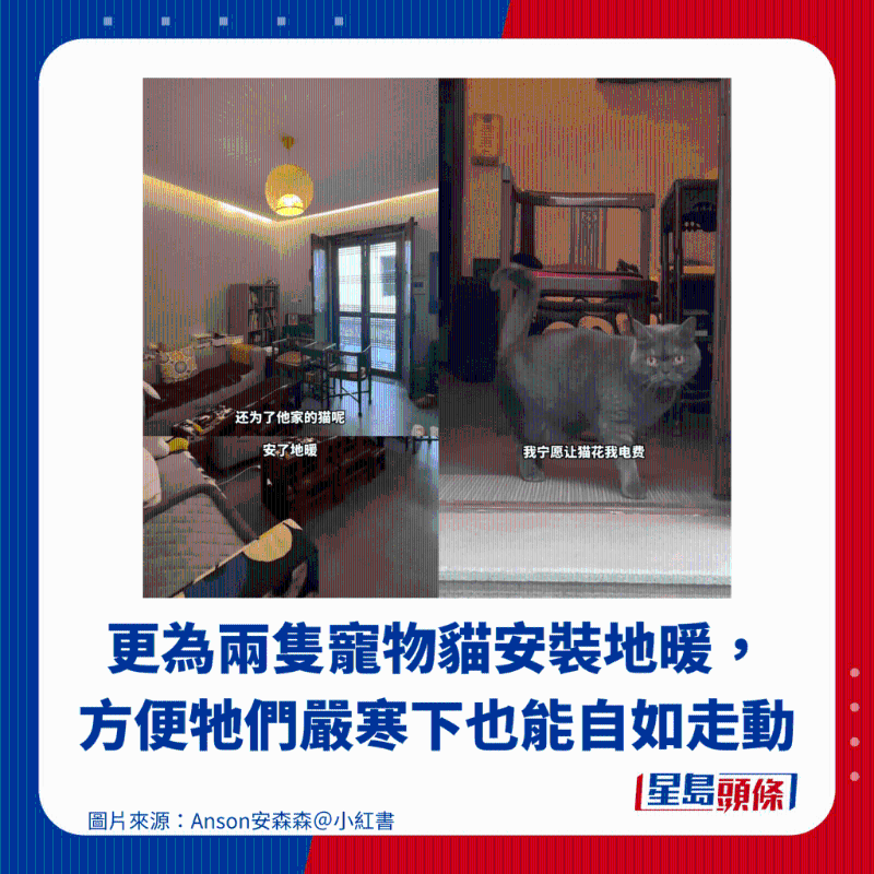 更为两只宠物猫安装地暖, 方便它们严寒下也能自如走动 更为两只宠物猫安装地暖, 方便它们严寒下也能自如走动