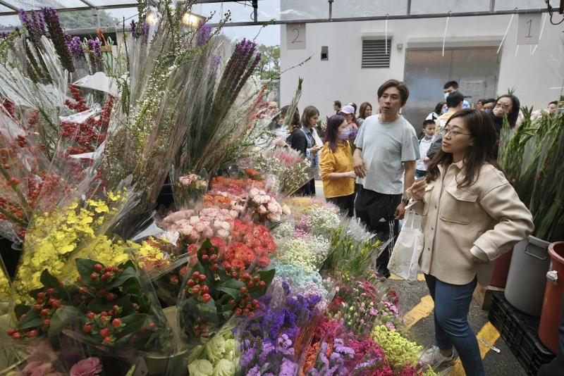 不少人趁周日到旺角花墟买年花应节。