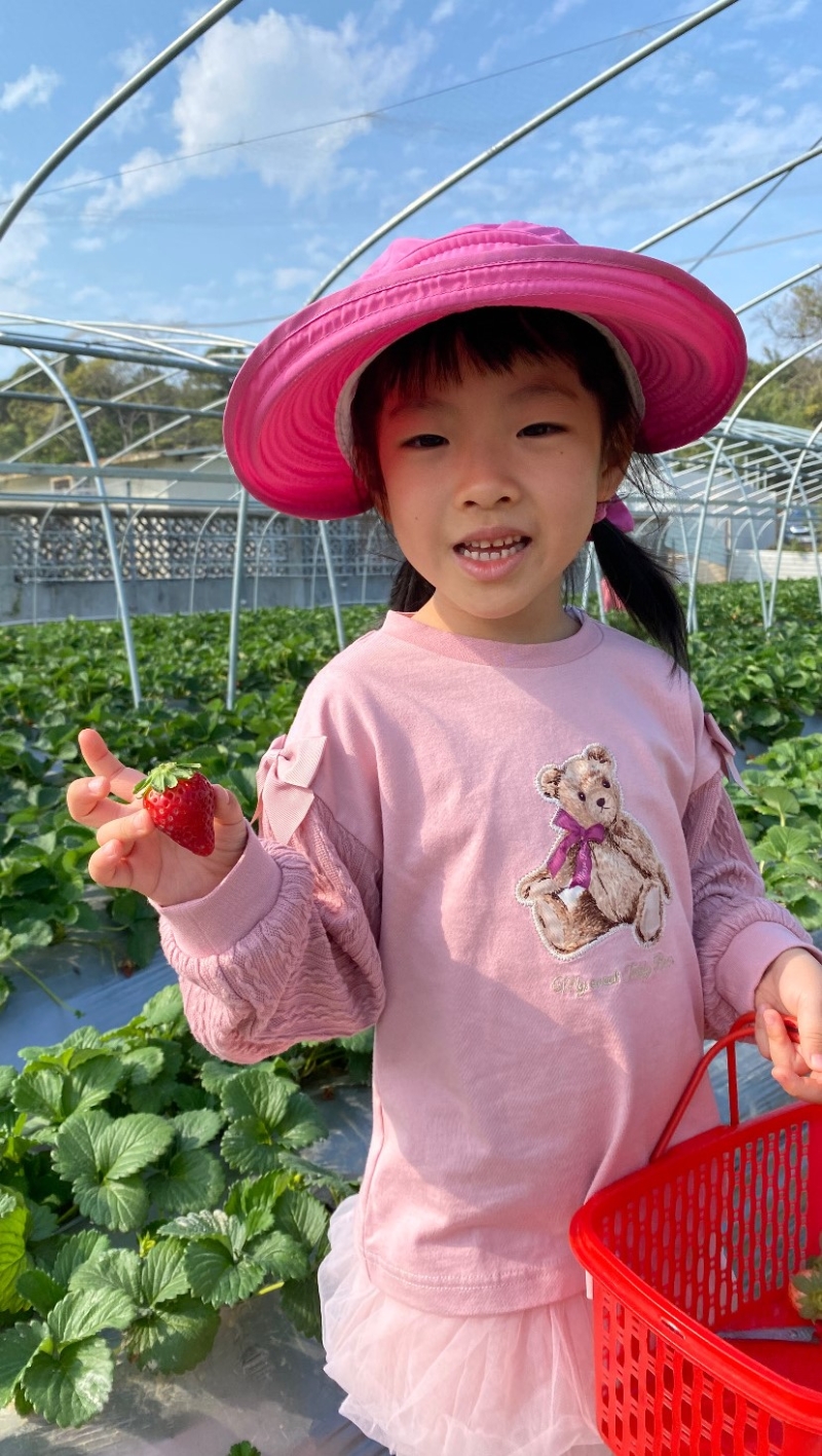 不要以为士多啤梨越大越甜,其实士多啤梨园的“小小” 士多啤梨也很甜美。(图片来源:《亲子王》) 不要以为士多啤梨越大越甜,其实士多啤梨园的“小小” 士多啤梨也很甜美。(图片来源:《亲子王》)