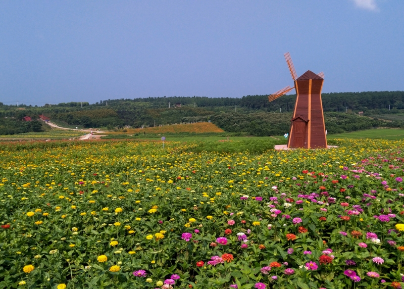 风车长廊 风车长廊