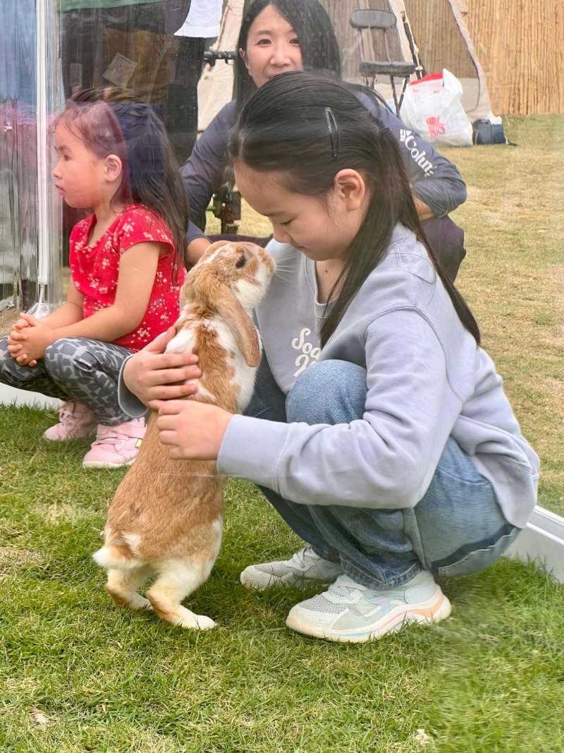Bunnyland 与兔兔露营 Bunnyland 与兔兔露营