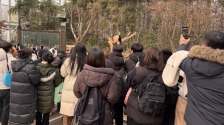 大熊猫福宝在韩最后一天亮相，韩国民众排队5小时告别