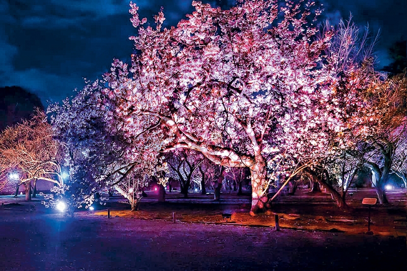 fea024p03070324 copy fea024p03070324 copy