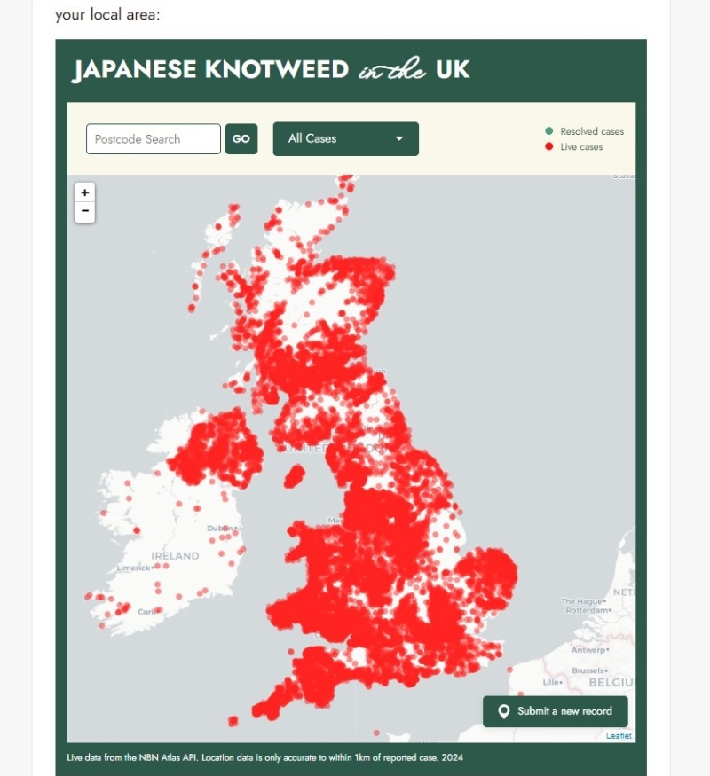英国设有日本虎杖个案网站