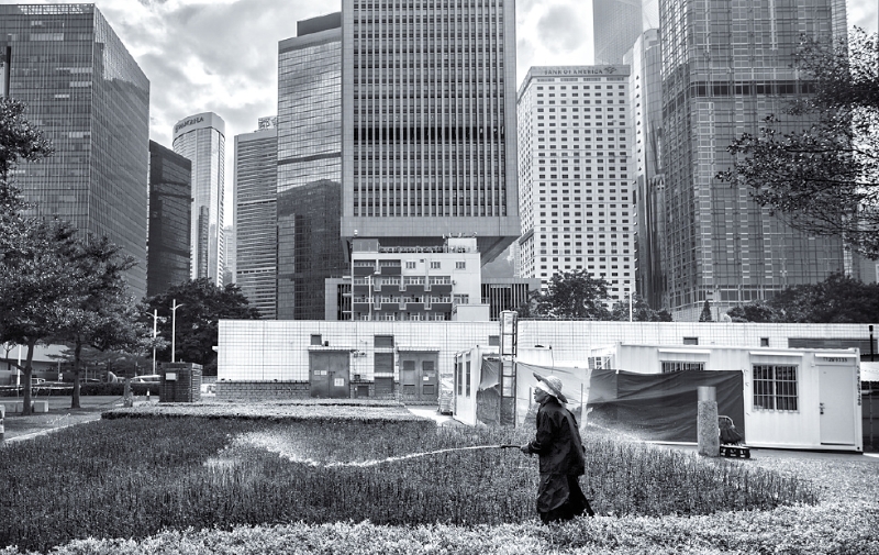 《The Old Ways - Hong Kong Island》，建筑物与草丛在黑白光影下，展现出各具质感的层次。