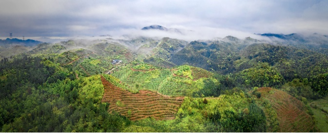 云雾缭绕 云雾缭绕