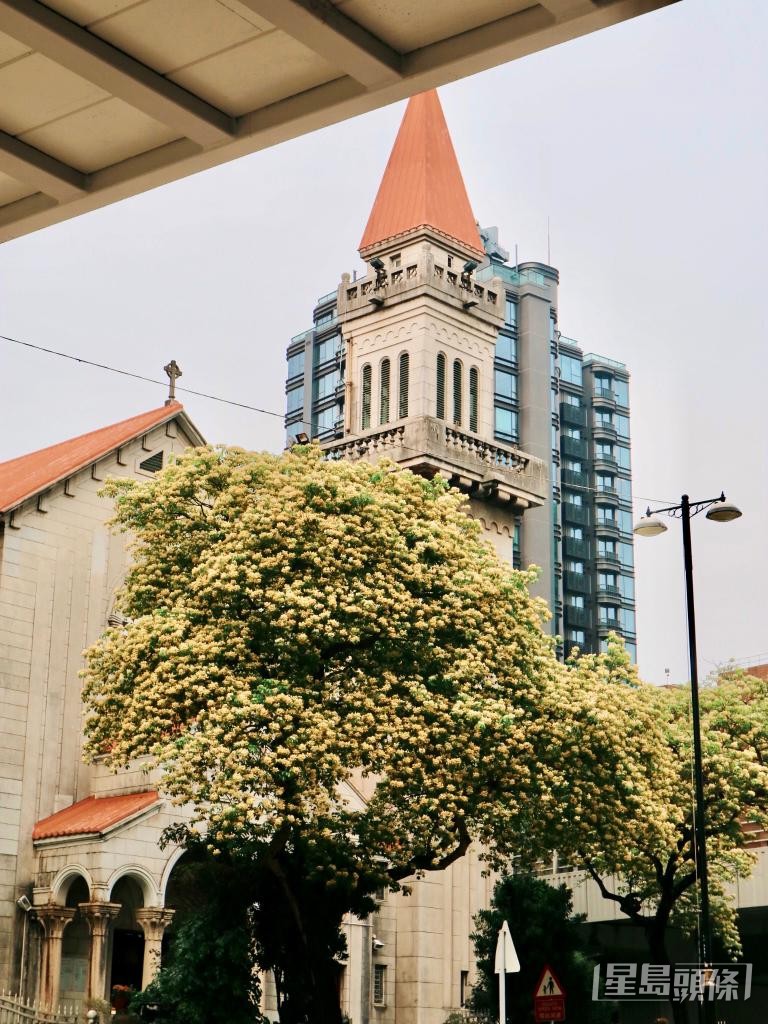 当中不可错过附近的圣德肋撒堂打卡位。 当中不可错过附近的圣德肋撒堂打卡位。