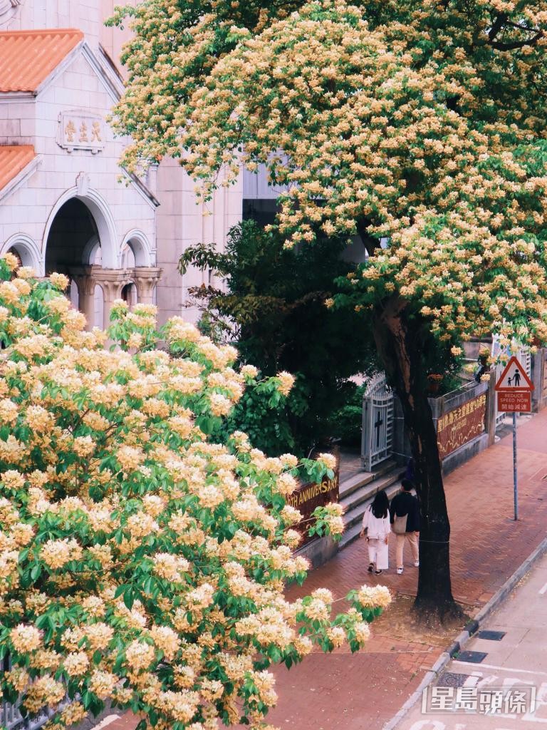 从高处拍摄构图一流! 从高处拍摄构图一流!