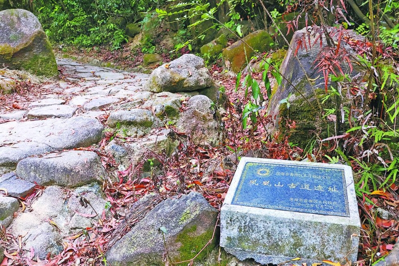 凤凰山古道遗迹。 凤凰山古道遗迹。