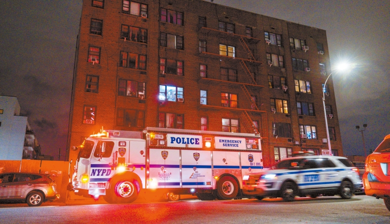 纽约杀人案 纽约杀人案