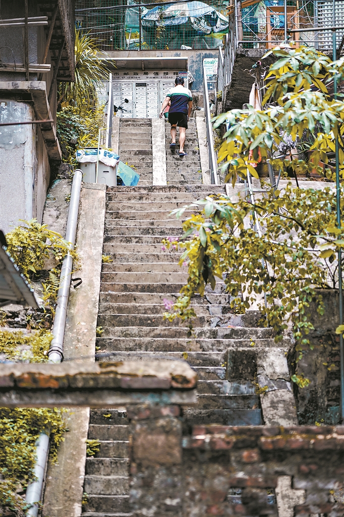 象岗山社区,楼梯步道随处可见。 象岗山社区,楼梯步道随处可见。