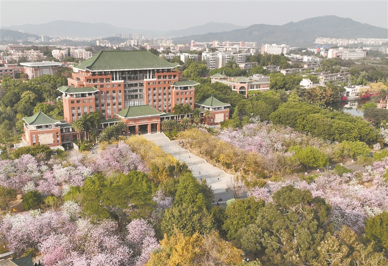 华农校园,风景宜人 华农校园,风景宜人