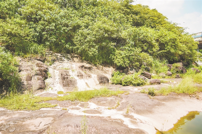 七星岗古海岸遗址 七星岗古海岸遗址