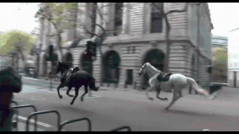 网传影片显示一黑一白的军马在伦敦街头风驰电掣。 X