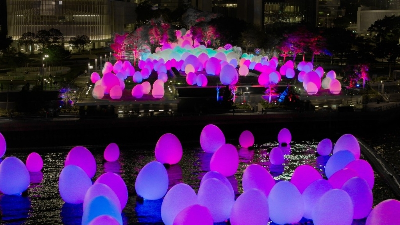 海上版TeamLab香港毋须预约免费参观 海上版TeamLab香港毋须预约免费参观