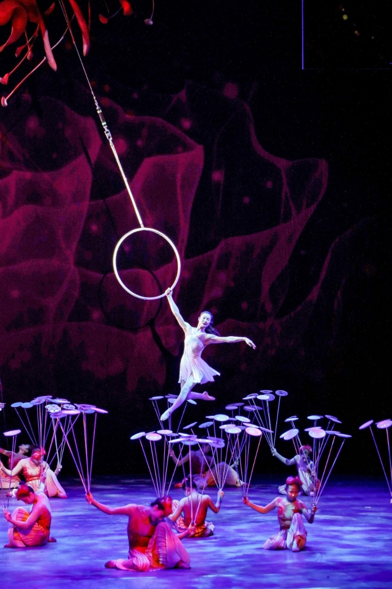 国际综艺合家欢