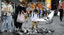 香港8月1日起禁喂野鸽，专家称可减低鸟类传染病风险