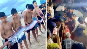 天灾预兆？｜越南惊现4.5米“超大地震鱼”，民众争相围观