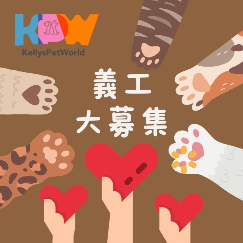 义工募集 义工募集