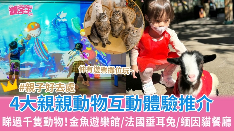 亲亲动物互动体验推荐 亲亲动物互动体验推荐