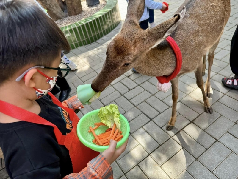 可自由走动与小朋友互动 可自由走动与小朋友互动