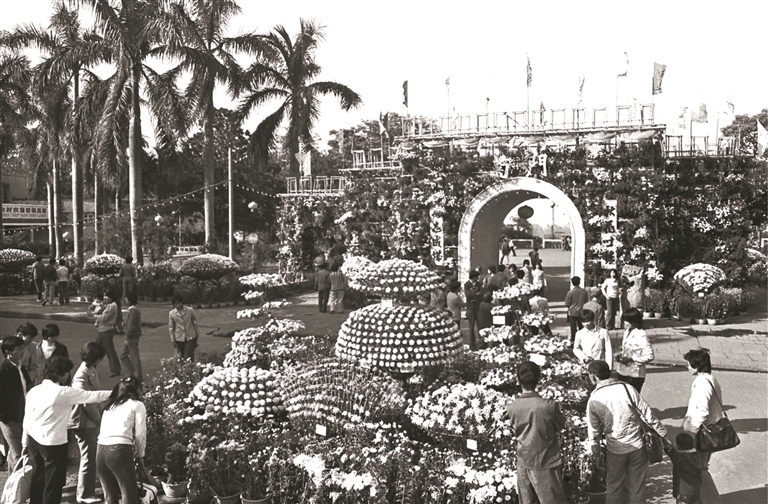 1983年文化公园菊展 1983年文化公园菊展