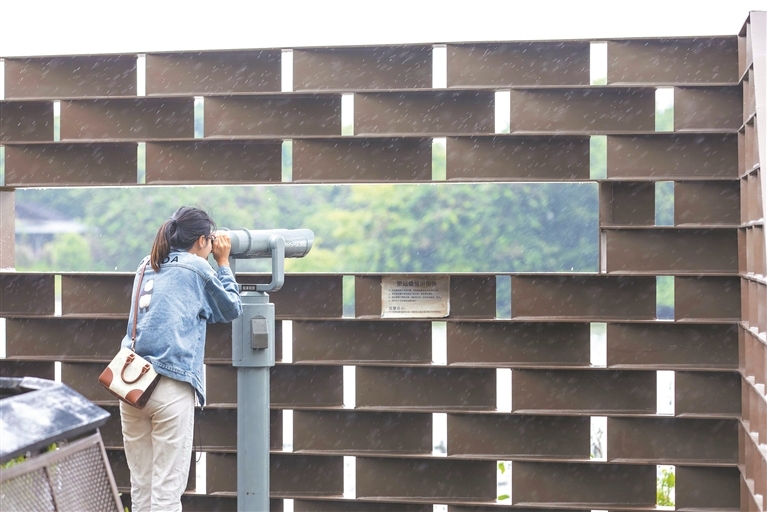 游客在海珠湿地观鸟。 游客在海珠湿地观鸟。