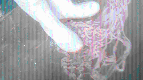 河南清丰县永官食品有限公司内，工人脚踩鹅肠以挤出粪便。 新京报