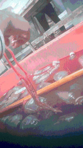 永官食品有限公司的鹅肠生产处，工人用血水浸泡染色，提高卖相。 新京报