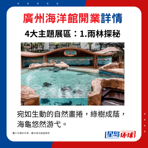 主题展区1.雨林探秘：宛如生动的自然画卷，绿树成荫，海龟悠然游弋。