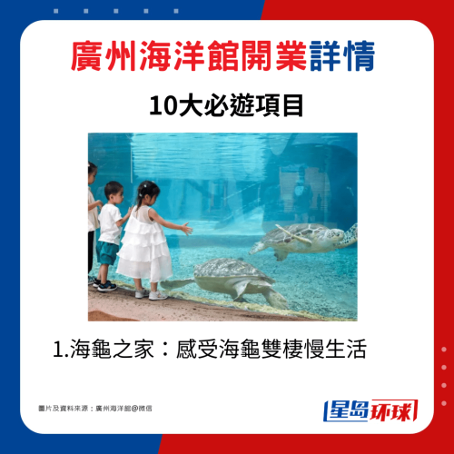 1.海龟之家：感受海龟双栖慢生活