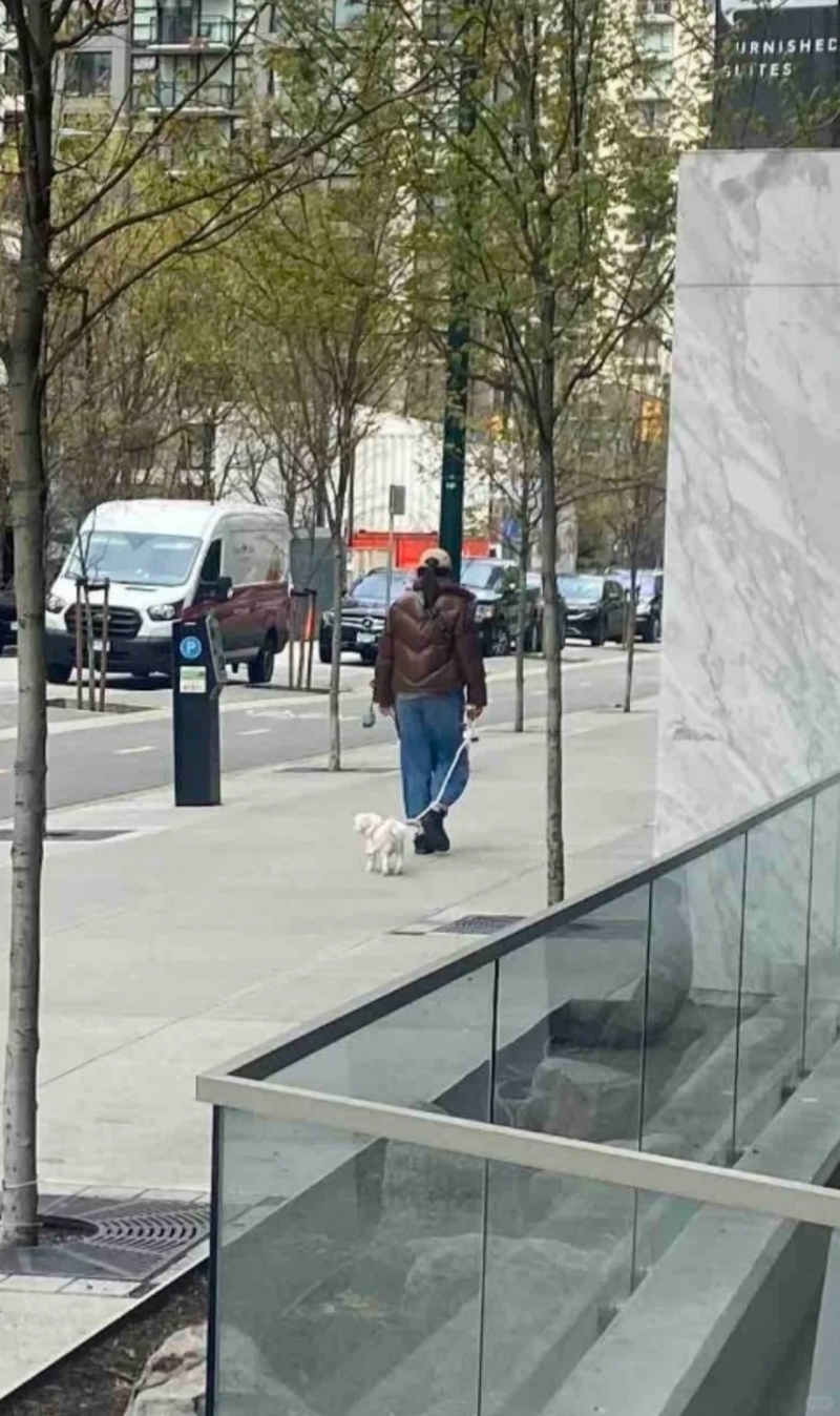 近日就接连有网民巧遇王祖贤放狗的照片 近日就接连有网民巧遇王祖贤放狗的照片