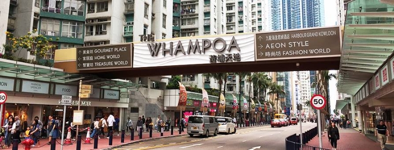 445493401_921521649776034_8070882481832366610_n 445493401_921521649776034_8070882481832366610_n