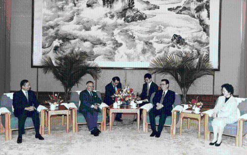 李鹏伉俪在北京接见中电代表 李鹏伉俪在北京接见中电代表