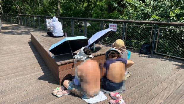 上海公园女士脱衣“海豹式”晒背养生