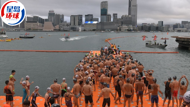 新世界维港泳 新世界维港泳