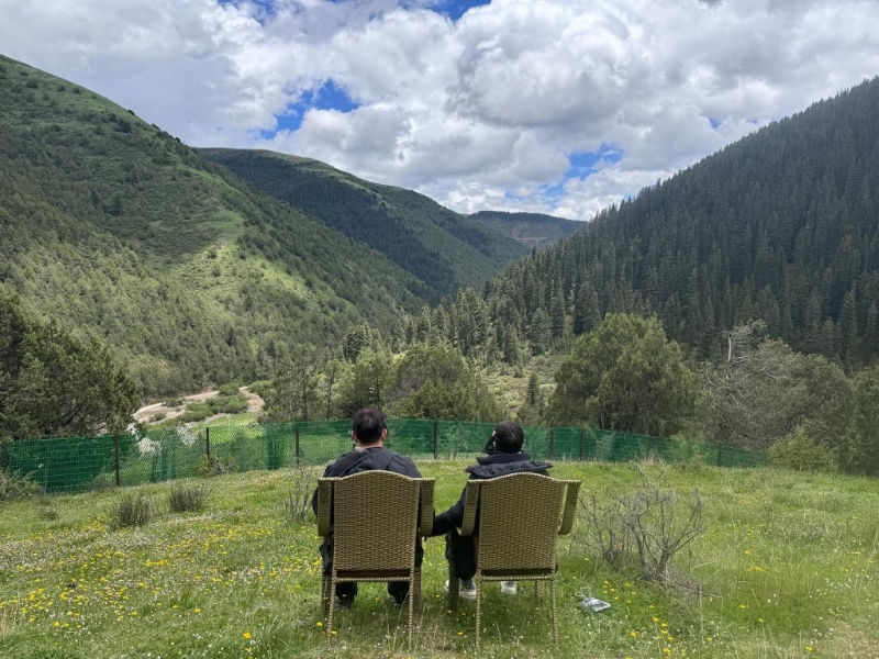 李连杰只上载利智的背面照。