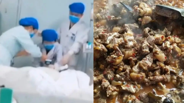 捡死狗煮来吃以为补身