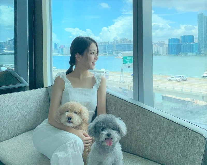 52522236788_faa115fe65_b 52522236788_faa115fe65_b