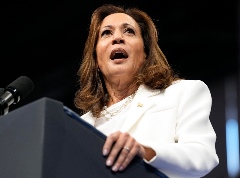 哈里斯CNN首次专访 哈里斯CNN首次专访