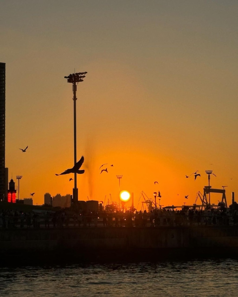 他们拍拖看日落,夕阳无限好...... 他们拍拖看日落,夕阳无限好......