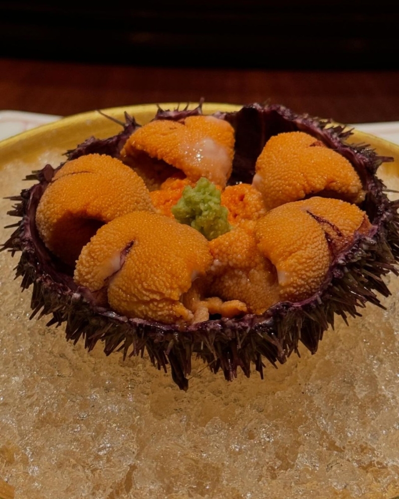 徐濠萦大颅大连海胆正。 徐濠萦大颅大连海胆正。