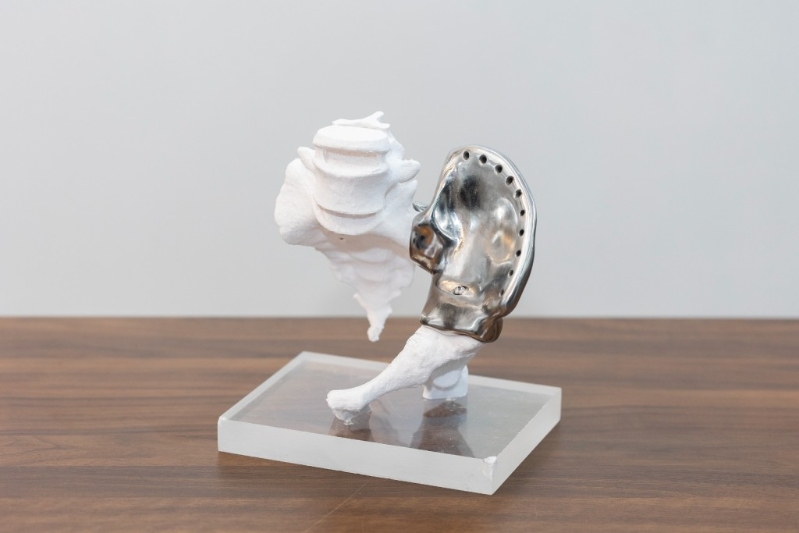 Koln 3D以金属3D列印技术制造植入人体的金属骨 Koln 3D以金属3D列印技术制造植入人体的金属骨