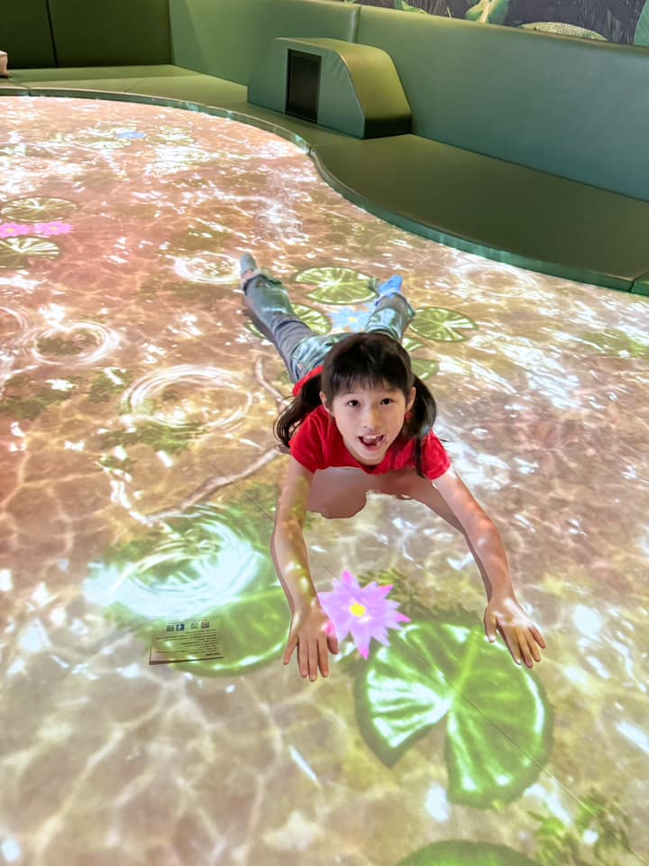 DOCODOCO室内‧冒险之岛 DOCODOCO室内‧冒险之岛