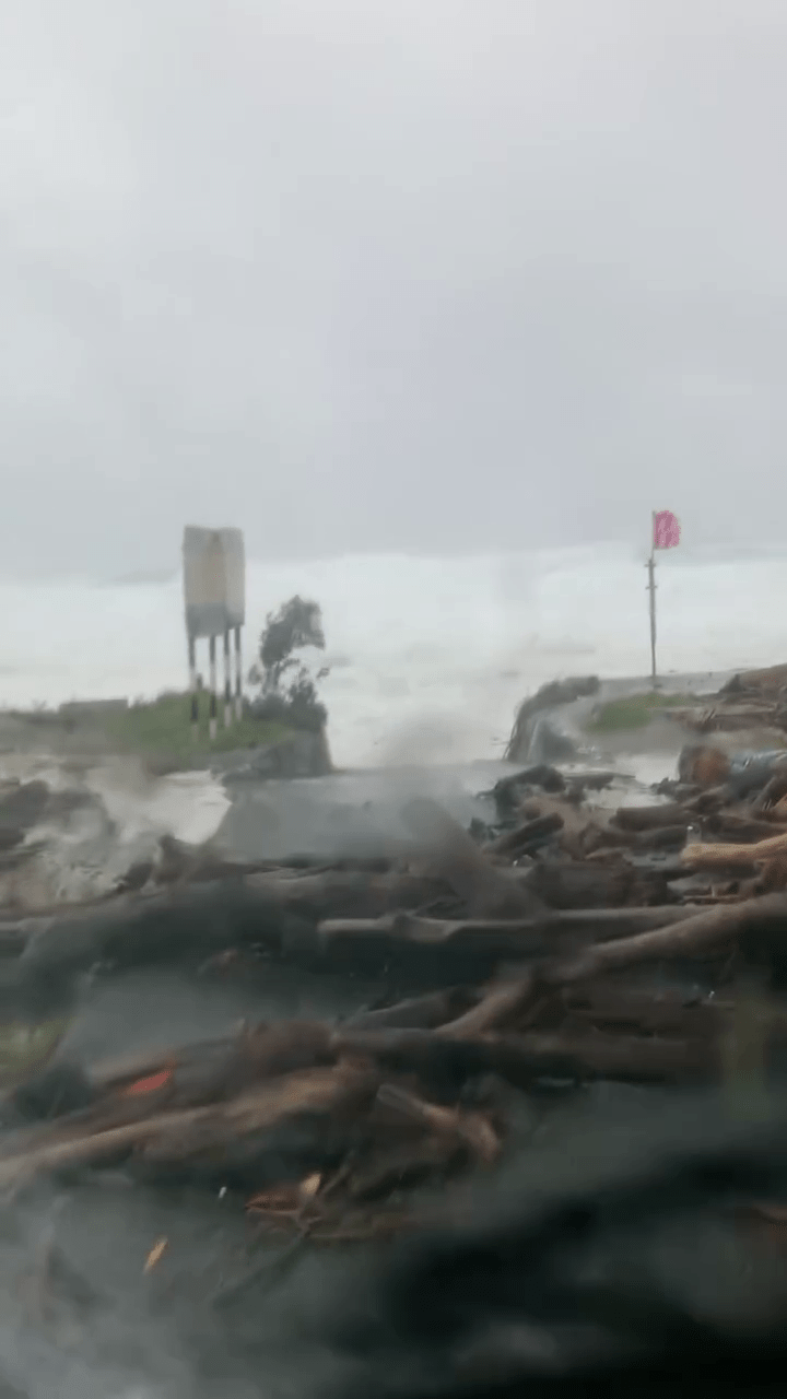 海岸前的石堤上堆满被风吹倒的树枝。 海岸前的石堤上堆满被风吹倒的树枝。