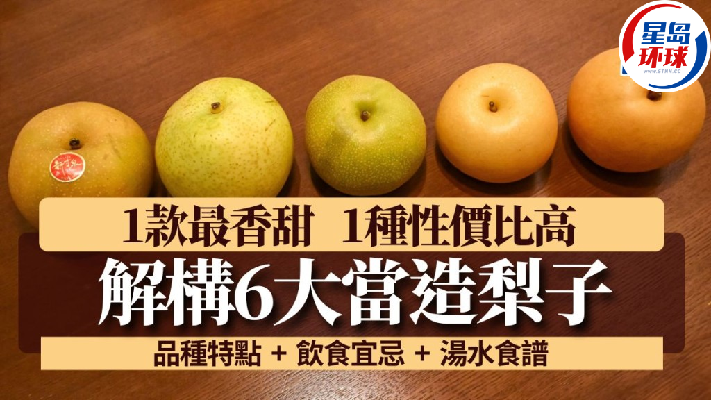 梨子当造 梨子当造