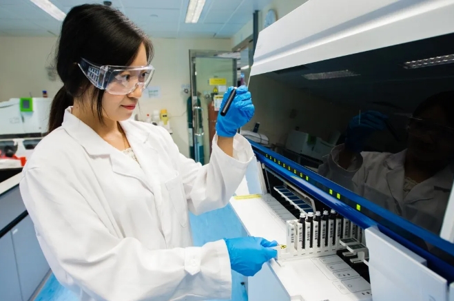 微信截图_20241010163021