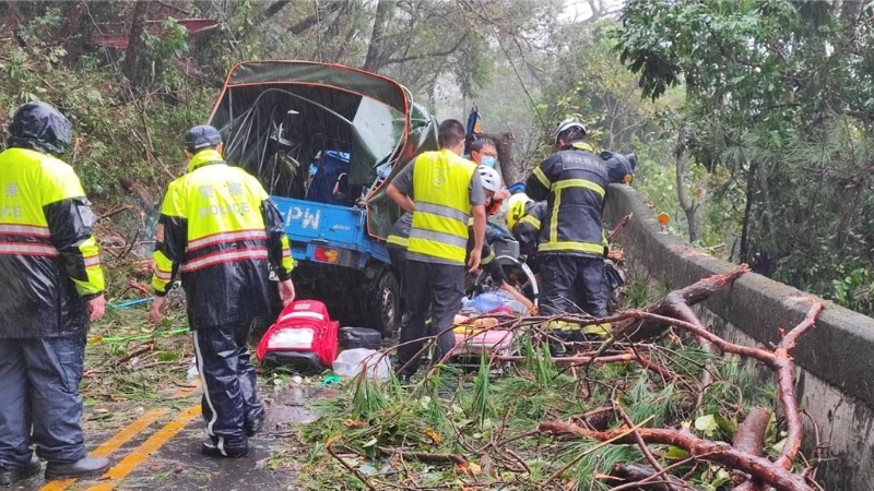 树木突倒塌砸中一辆小货车 树木突倒塌砸中一辆小货车