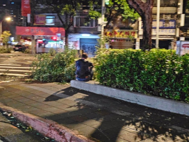 清理树枝 清理树枝