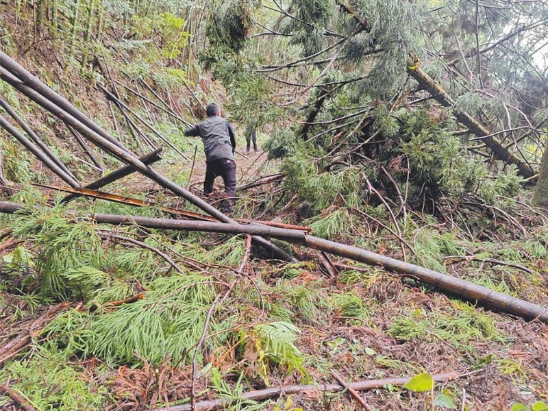 2日空勤队寻获均安 2日空勤队寻获均安